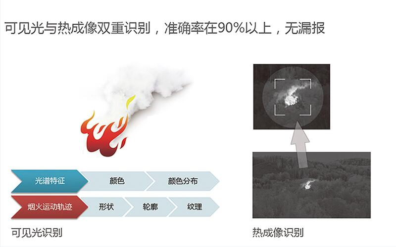 “森林衛士”自動識別